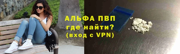 стафф Аркадак