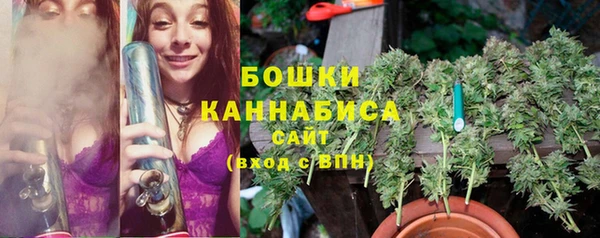 бутират Арсеньев