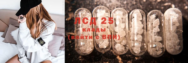 стафф Аркадак