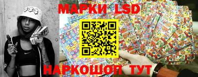 spice Камышлов