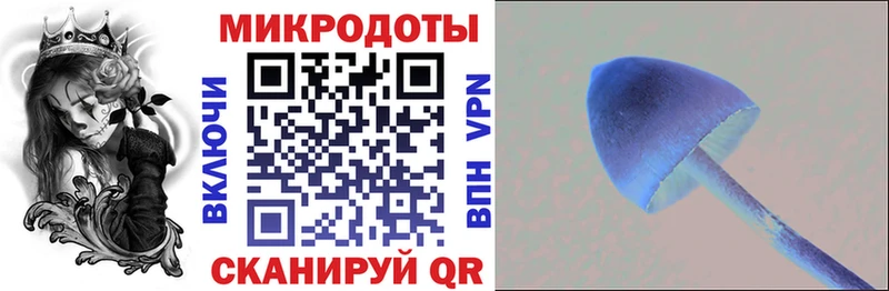 Галлюциногенные грибы Cubensis  магазин  наркотиков  Коломна 